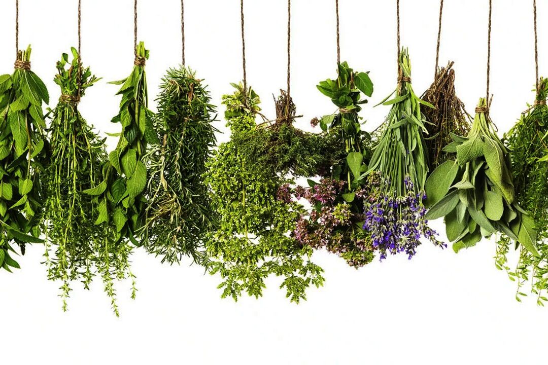 tropu augu ekstrakts Eroboost